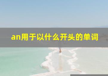 an用于以什么开头的单词