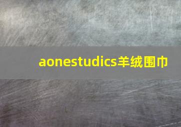 aonestudics羊绒围巾