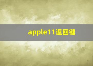 apple11返回键