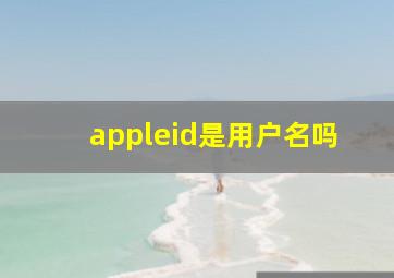 appleid是用户名吗