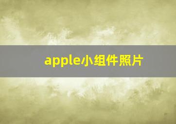 apple小组件照片