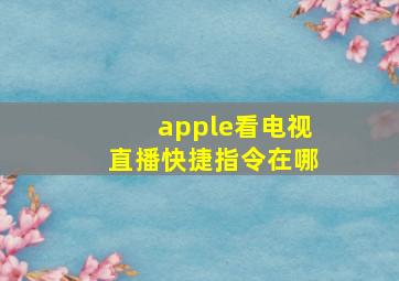 apple看电视直播快捷指令在哪