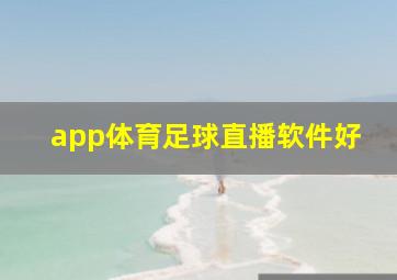 app体育足球直播软件好