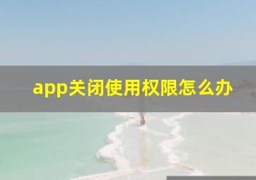 app关闭使用权限怎么办