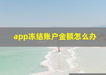 app冻结账户金额怎么办