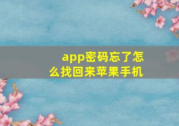 app密码忘了怎么找回来苹果手机