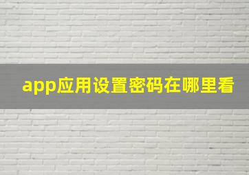 app应用设置密码在哪里看