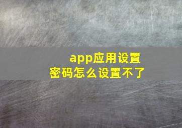 app应用设置密码怎么设置不了