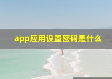 app应用设置密码是什么