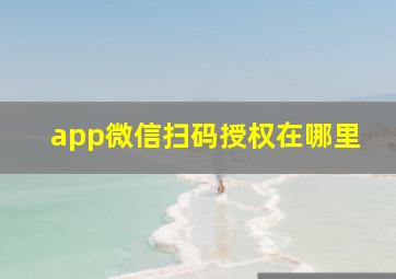 app微信扫码授权在哪里