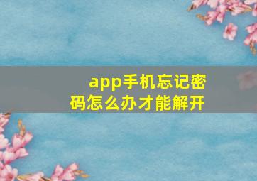 app手机忘记密码怎么办才能解开