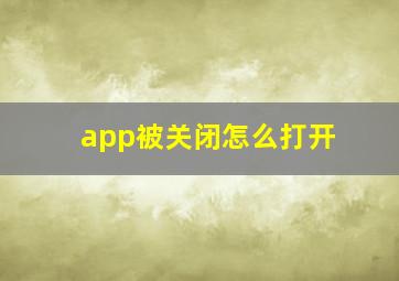 app被关闭怎么打开