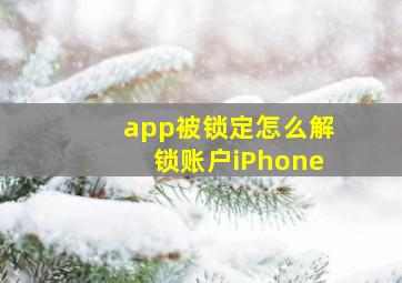 app被锁定怎么解锁账户iPhone