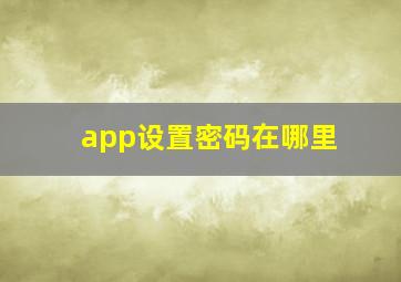 app设置密码在哪里