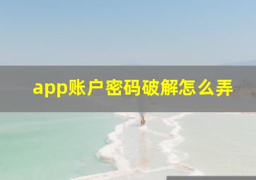 app账户密码破解怎么弄