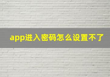 app进入密码怎么设置不了