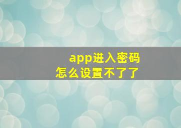 app进入密码怎么设置不了了