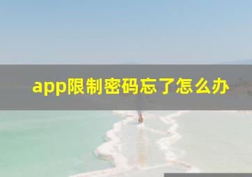 app限制密码忘了怎么办