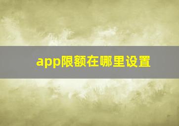 app限额在哪里设置