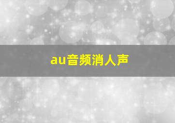 au音频消人声