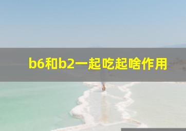 b6和b2一起吃起啥作用