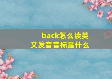 back怎么读英文发音音标是什么