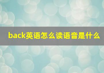 back英语怎么读语音是什么