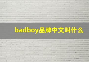 badboy品牌中文叫什么