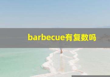 barbecue有复数吗