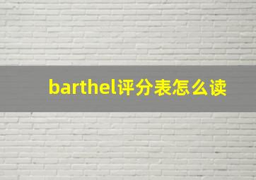 barthel评分表怎么读