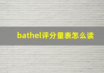 bathel评分量表怎么读