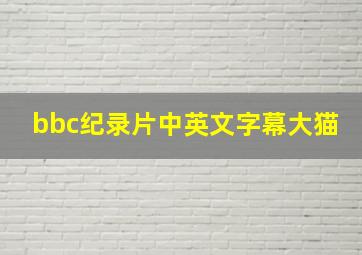 bbc纪录片中英文字幕大猫