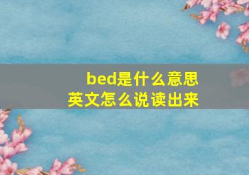 bed是什么意思英文怎么说读出来