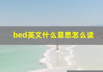 bed英文什么意思怎么读