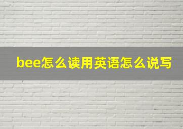 bee怎么读用英语怎么说写