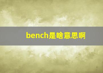 bench是啥意思啊