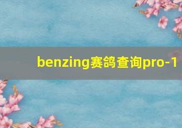 benzing赛鸽查询pro-1