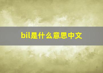 bil是什么意思中文