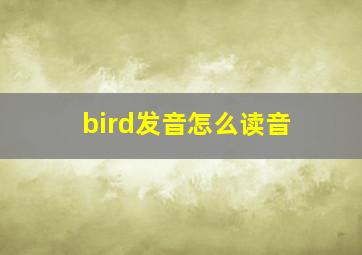 bird发音怎么读音