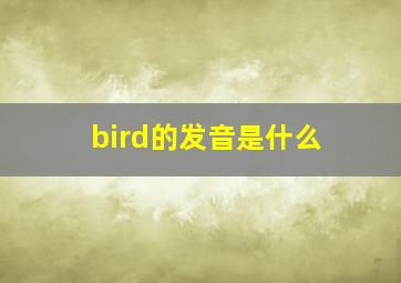 bird的发音是什么