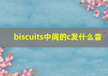 biscuits中间的c发什么音