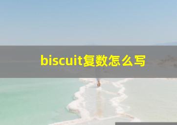 biscuit复数怎么写