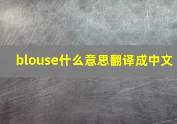 blouse什么意思翻译成中文