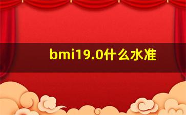 bmi19.0什么水准