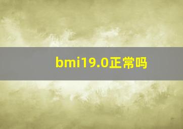 bmi19.0正常吗