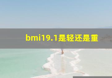 bmi19.1是轻还是重