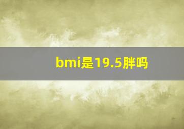 bmi是19.5胖吗