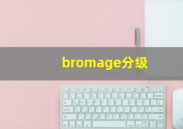 bromage分级