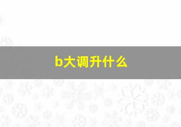 b大调升什么