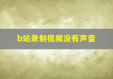 b站录制视频没有声音